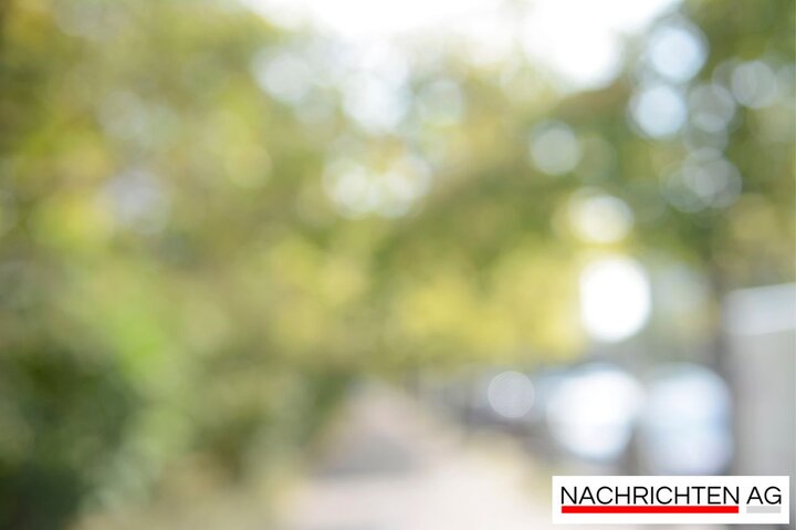 WhatsApp-Erfolg: Anna Schades Spielzeugladen begeistert Crivitz!