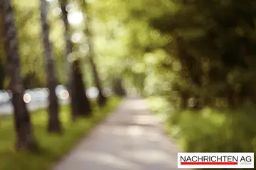 Stavenhagens Handballerinnen vor entscheidendem Duell gegen Stralsund!