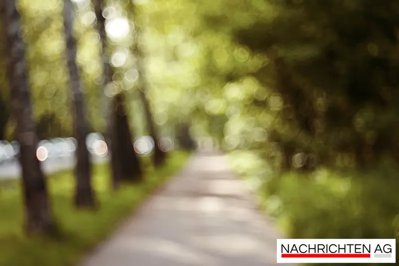 Jens Kreutzer wird neuer stellvertretender Landrat der Seenplatte!